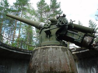 Alkuperäinen tykki joutui Karjalan kannakselle jatkosodassa, mutta Sulkavan kunta osti kuvassa olevan museotykin Panssarivarikolta ja se vihittiin matkailukäyttöön 24.7.1994 ( Hytönen-Koponen) 